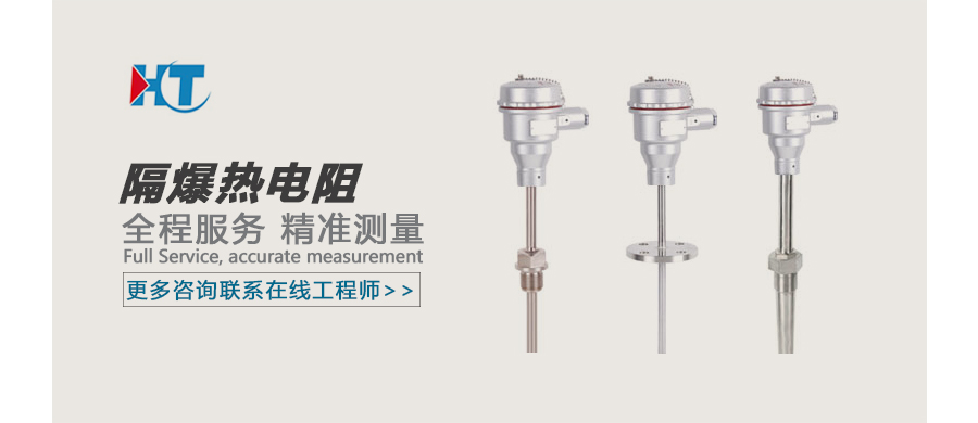 隔爆热电阻广告图.jpg
